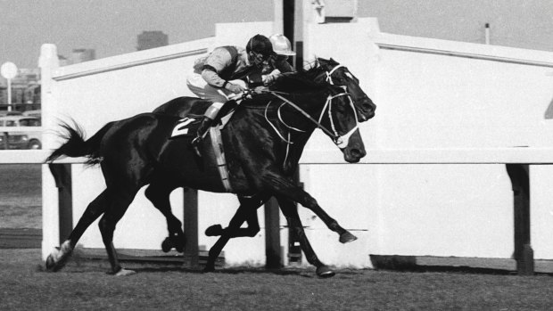 Big Philou, on the outside, just edges out Rain Lover in the two-horse 1970 Queen Elizabeth Stakes.
