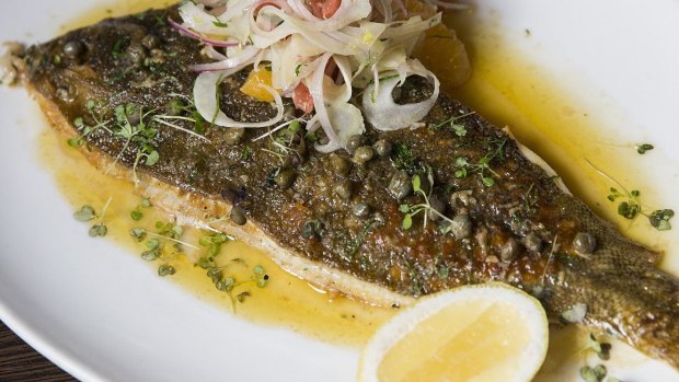 Whole flounder with fennel and citrus salad, caper lemon buerre noisette at Wayside Inn. 