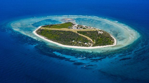 Lady Elliot Island's history is a tale of redemption as it has evolved from guano mining in the 1870s to a beacon of sustainable tourism today.