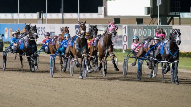 Whiplash: Harness Racing NSW wants to tighten the way the whip is used, rather than introduce an overall ban.