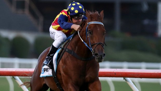 Ryan Maloney rides Nature Strip to victory at Moonee Valley in November.