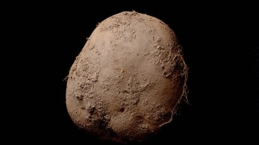 The Kevin Abosch photo <em>Potato #345</em> which has sold for $1.5 million.