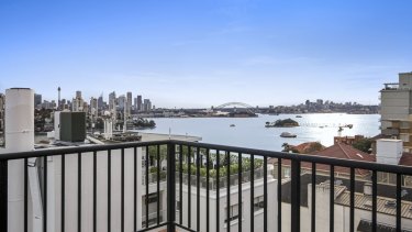 Million dollar views: Mr Joyce said homes would always be expensive when you can see the Opera House or Sydney Harbour Bridge.