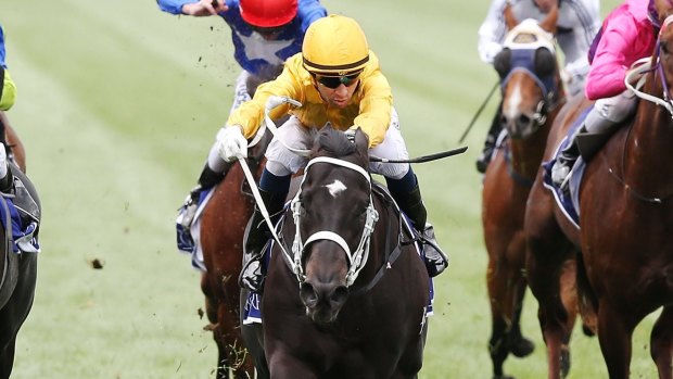 Strong season: Joao Moriera guides Brazen Beau to victory in the Newmarket Handicap.