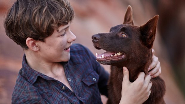 Levi Miller and dog in <i>Red Dog: True Blue</i>.