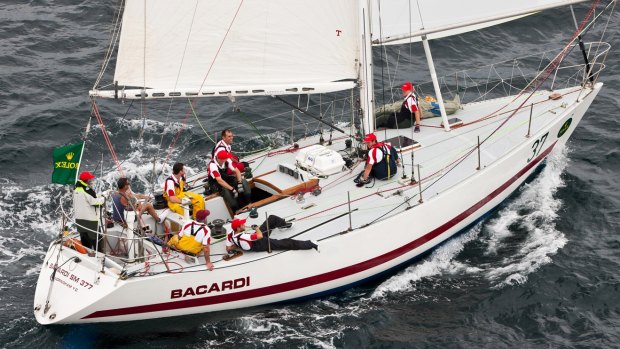 Seasoned: Bacardi has raced the most Sydney to Hobarts. 