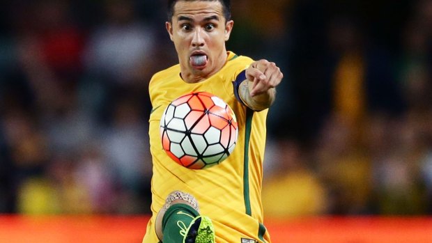 Taking aim: Tim Cahill is unimpressed with the national team's detractors.