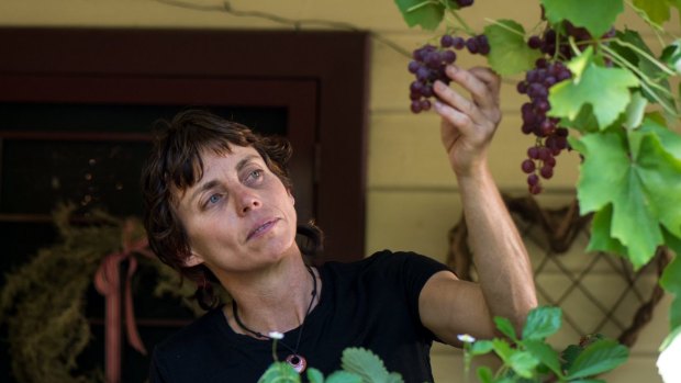 Pick of the crop: Karen Sutherland in her Pascoe Vale South garden.