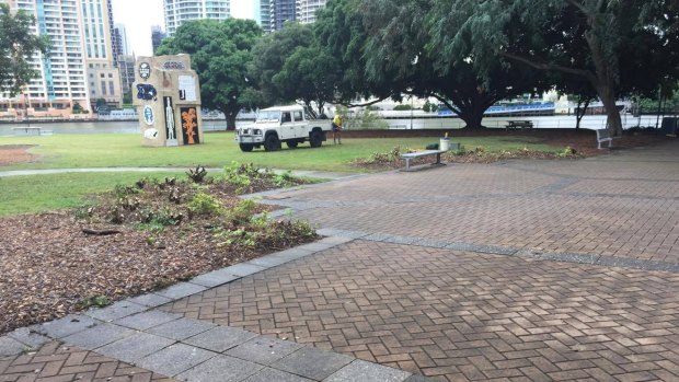 Brisbane City Council has removed hedges at Captain Bourke Park, Kangaroo Point.