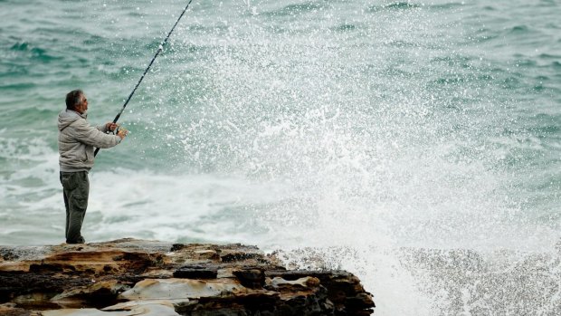 Beach & Rock Fishing Australia, Some of the drummer I caught over the  break