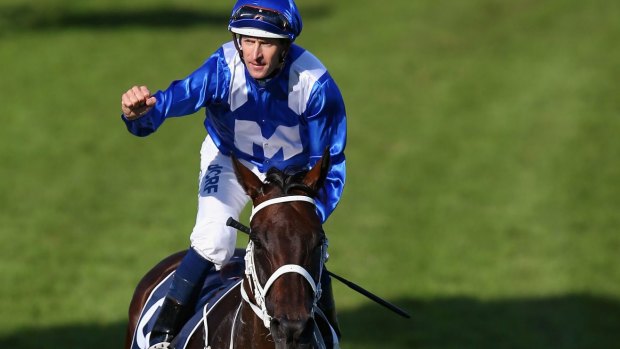Ready to return: Hugh Bowman will be on Winx at the Randwick barrier trials on Monday.