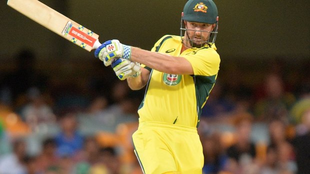 On song: Shaun Marsh in action during an ODI in Brisbane earlier this year.