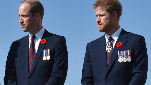 Britain's royals Prince William and Prince Harry are also pilots. 