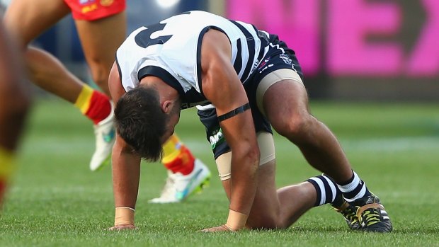 Jimmy Bartel may be back to face the Crows.