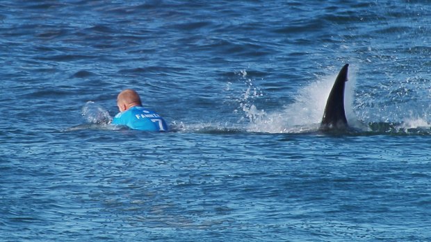 Mick Fanning's unforgettable encounter in South Africa.