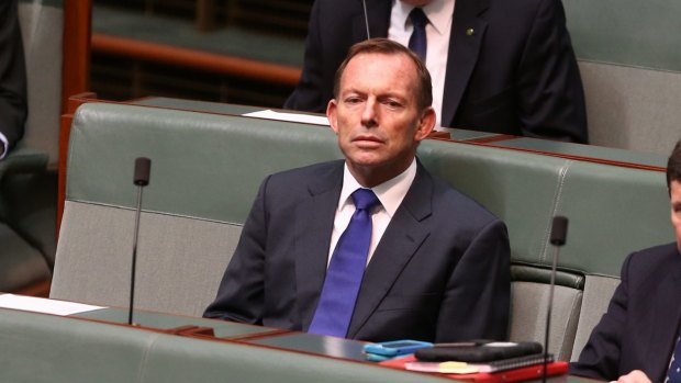 Former prime minister Tony Abbott in Parliament on Tuesday during the debate on gun laws.