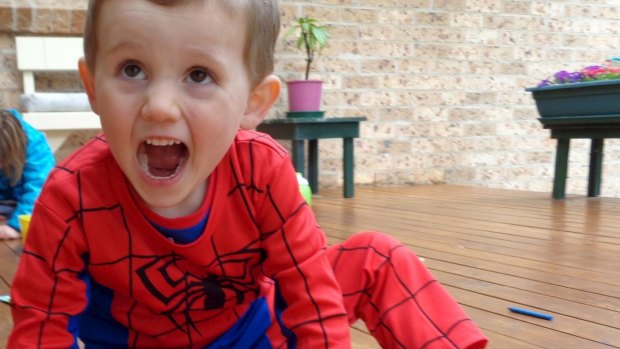 William Tyrell vanished from the front yard of his grandparent's house in Kendall and was last seen wearing a Spider-Man suit.