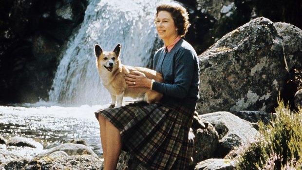 The Queen at sitting on rocks beside a waterfall on the Garbh Allt burn with one of her many corgis on the Estate at Balmoral Castle, Scotland during the Royal Family's annual summer holiday in September 1971.
