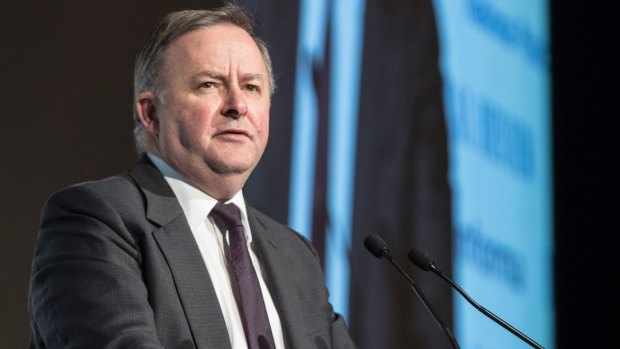 Federal opposition infrastructure spokesman Anthony Albanese condemned Mirvac's proposal on Thursday night. 
