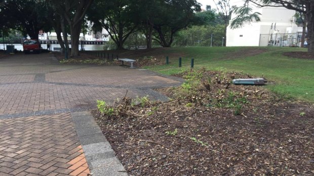 A Brisbane City Council spokesman said the hedges were removed to increase safety at the park.