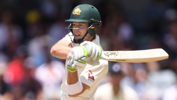 Safe hands: Tim Paine has been in good form with the bat, and with the gloves.