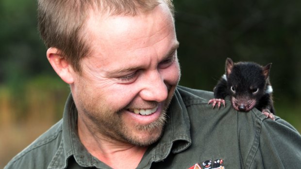 Tim Faulkner from Devil Ark in the Barrington Tops with a five-month old Tasmanian devil joey.