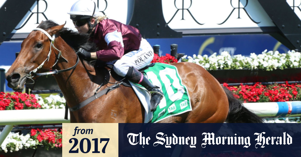 eckstein ahead of magic millions