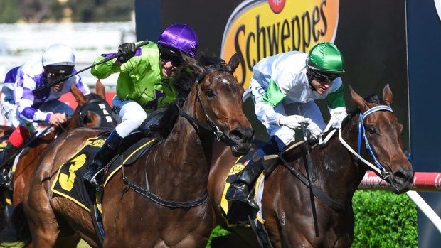 Fitness edge: Global Glamour wins the Thousand Guineas at Caulfield.