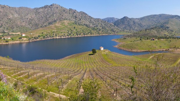 The vinyard-covered banks of the Sabor River in Portugal's Douro Valley