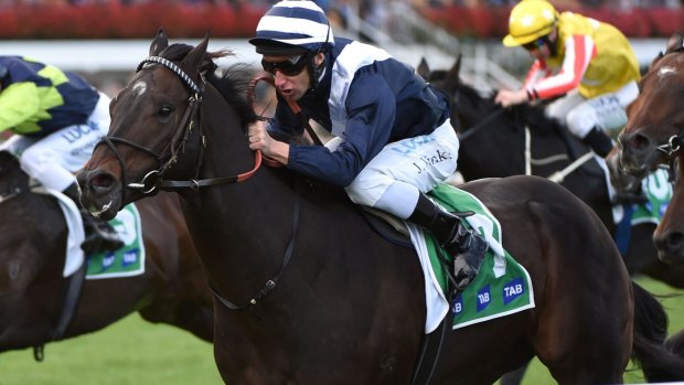 Four straight: James Winks aboard Supido at Flemington last year, one of the sprinter's four wins at the track.