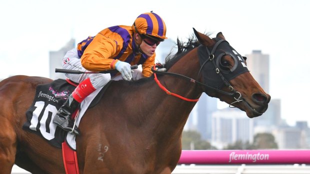 After winning at Flemington in June, Charlevoix is aiming for success on Saturday in the Banjo Patterson Handicap.