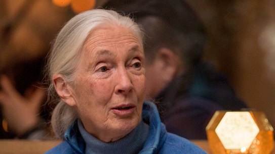 Jane Goodall says the US president has brought scientists ''out of their ivory towers''.