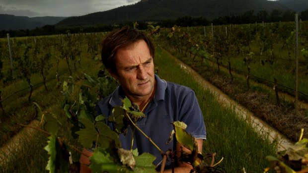 Hunter Valley winemaker Andrew Margan: hit by Nigerian scammers.
