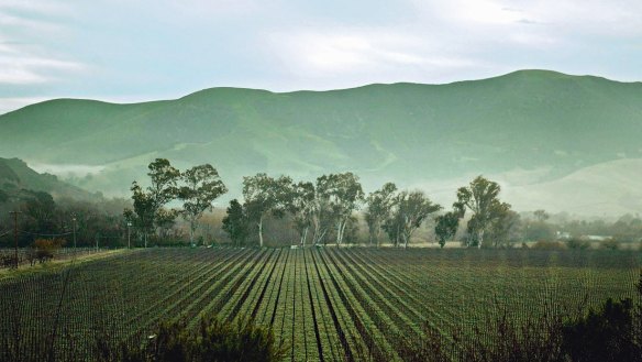 Superb varietals: Santa Barbara is only an hour’s drive from Los Angeles.