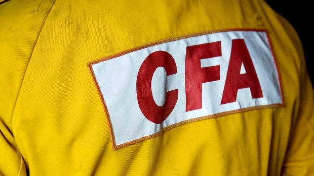 CFA Chief Officer Joe Buffone urged all members to look after each other.