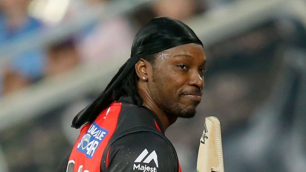 Polarising figure: Melbourne Renegades opener Chris Gayle.