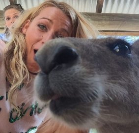 Swift photobombed Lively's kangaroo selfie.