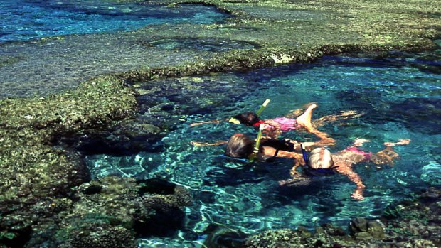 Snorkelling is easy at Lord Howe Island.