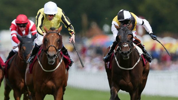 Cup hopeful: Big Orange (left) is being aimed toward the Melbourne Cup.