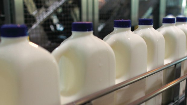 Contract lost: A dairy company pulled its halal certification after complaints.