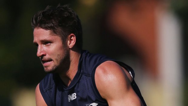 Hogan in training at Gosch's Paddock on Tuesday.