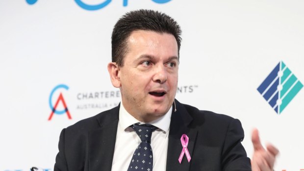 The government is likely to secure support for a cut for companies with a turnover of up to $10 million from the Nick Xenophon Team.