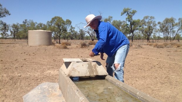 From flooding rains to searing heat: Chris Priestley examines a bore at the family's Salt Glen station near Carinda.