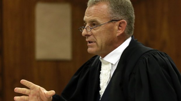 Prosecutor Gerrie Nel has been accused of pursuing a "personal vendetta" against Pistorius.