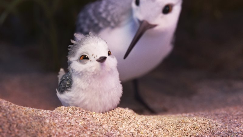 Calling it, the cutest Pixar animation ever is called Piper