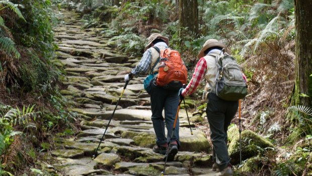 Hikers walk the ancient pilgrimage trail of Kumano Kodo.