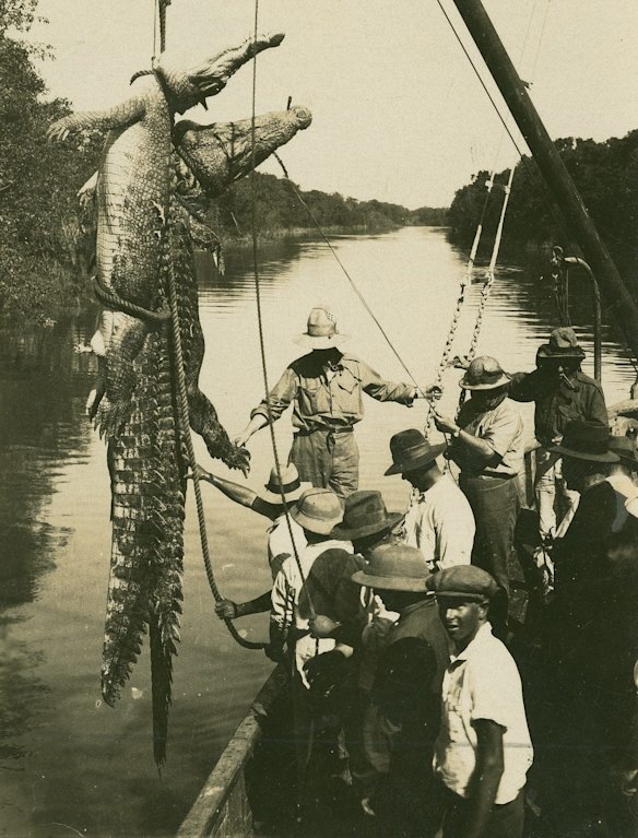 Crocodile hunting in the Northern Territor circa 1930