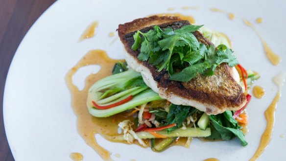 Snapper with bok choy and Asian slaw.