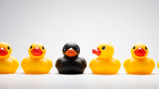Rubber ducks are used to help children express their fears.