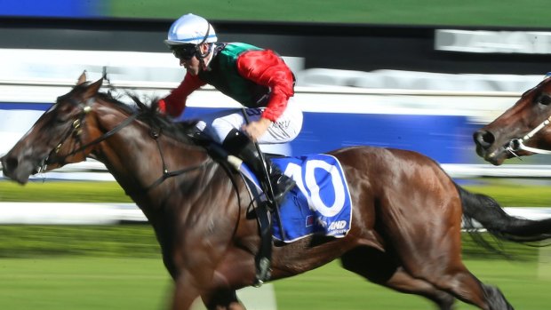 Group 1 mare: English heads to the Robert Sangster Stakes at Morphettville on Saturday.